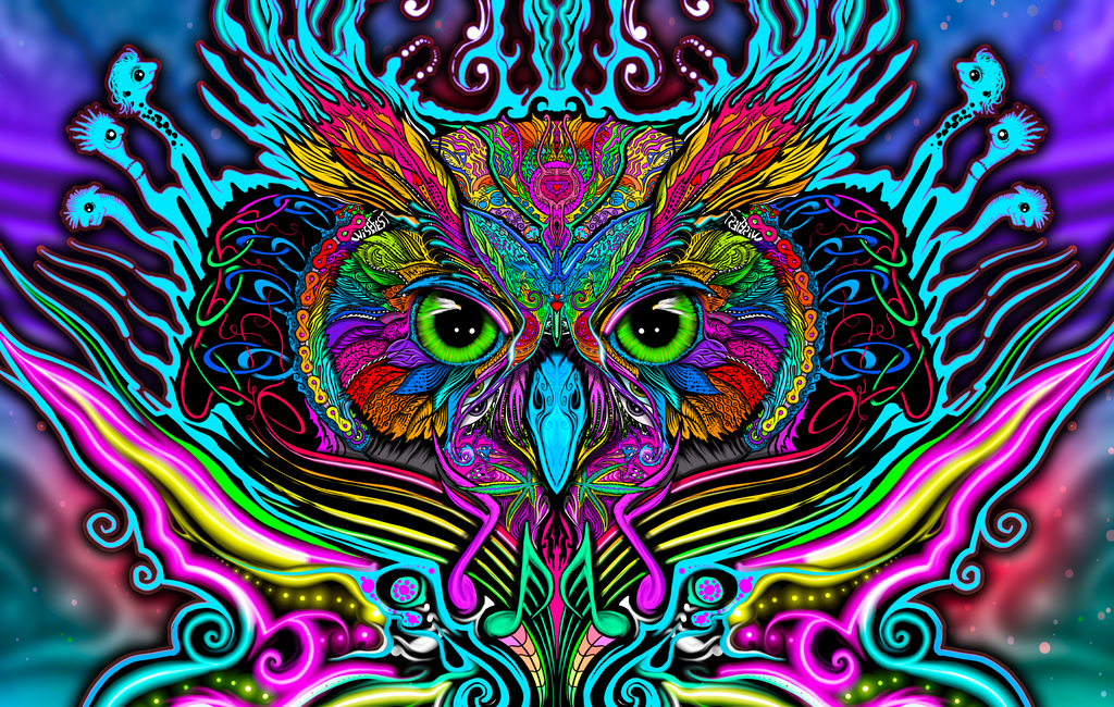 WiseMusic Owl Hand Drawn Art - Fleece Oversized Hoodie Blanket With Decorative Ears